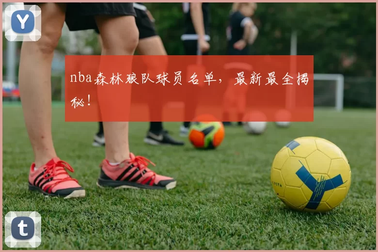 nba森林狼队球员名单，最新最全揭秘！